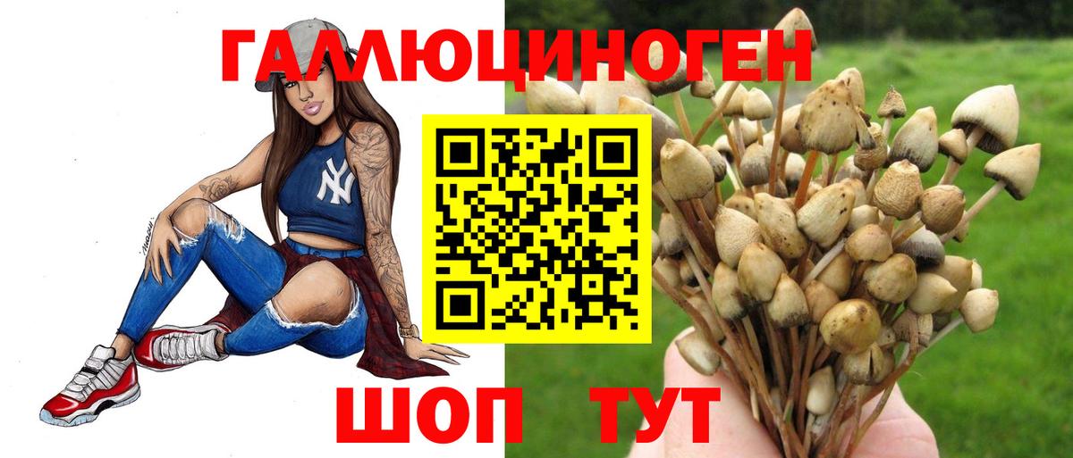 Галлюциногенные грибы MAGIC MUSHROOMS  Вход с VPN  Лабытнанги  Галлюциногенные грибы Magic Shrooms 